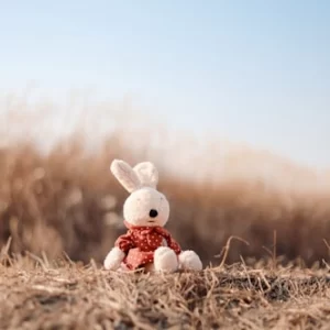Cute Bunny T-Shirt